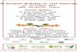 6th European Workshop on Leaf Senescence 14 -18 October 2013 INRA ,  Versailles,  France
