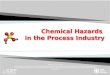 Chemical Hazards  in the Process Industry