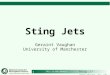 Sting Jets