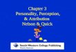 Chapter 3  Personality, Perception, & Attribution  Nelson & Quick