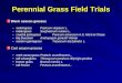 Perennial Grass Field Trials