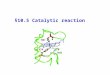 §10.5 Catalytic reaction