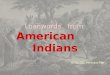 Loanwords   from American      Indians