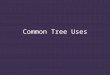 Common Tree Uses