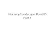 Nursery/Landscape Plant ID Part 1