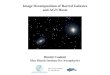 Image Decomposition of Barred Galaxies and AGN Hosts Dimitri Gadotti