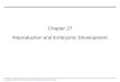 Chapter 27 Reproduction and Embryonic Development
