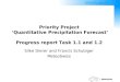 Priority Project  ‘Quantitative Precipitation Forecast’ Progress report Task 1.1 and 1.2