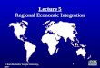 Lecture 5 Regional Economic Integration