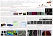 Applications of Visualization and Data Clustering to 3D Gene Expression Data