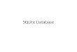 SQLite  Database