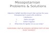 Mesopotamian  Problems & Solutions