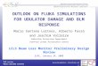 OUTLOOK ON FLUKA SIMULATIONS FOR UDULATOR DAMAGE AND BLM RESPONSE