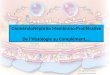 GloméruloNéphrite Membrano -Proliférative De l’Histologie au Complément…