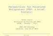 Perspectives for Polarized Antiprotons (PAX: a brief history)
