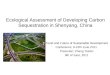Ecological Assessment of Developing Carbon Sequestration in Shenyang, China