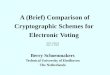 A (Brief) Comparison of Cryptographic Schemes for Electronic Voting
