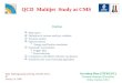QCD  Multijet  Study at CMS