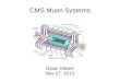 CMS Muon Systems