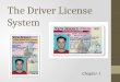 The Driver License System