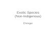 Exotic Species (Non-Indigenous)