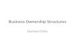 Business Ownership Structures