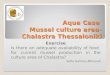 Aqua Case  Mussel culture area- Chalastra  Thessaloniki