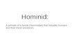 Human Evolution / Hominid Powerpoint