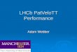 LHCb PatVeloTT Performance