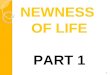 NEWNESS  OF LIFE PART 1
