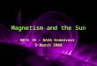 Magnetism and the Sun