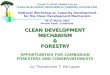 CAPACITY DEVELOPMENT for the CLEAN DEVELOPMENT MECHANISM for CAMBODIA  (CD4CDM-CAM)