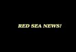 RED SEA NEWS!