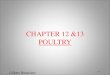 CHAPTER 12 &13 POULTRY