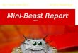 Mini-Beast Report