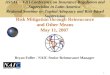 Risk Mitigation through Reinsurance and Other Means May 11, 2007