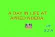 A DAY IN LIFE AT APRED NDERA