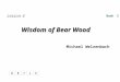 Wisdom of Bear Wood