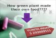 How green plant made their own food????