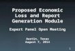 Proposed Economic Loss and Report Generation Module Expert Panel Open Meeting Austin, Texas