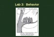 Lab 3:  Behavior