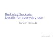 Berkeley Sockets Details for everyday use