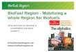 BioFuel Region -  Mobilizing a whole Region for Biofuels