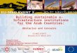 Building sustainable e-Infrastructure institutions for the Arab Countries: Obstacles and Concerns