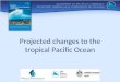 Projected changes to the tropical Pacific Ocean