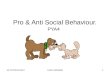 Pro & Anti Social Behaviour