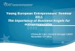 Young European Entrepreneurs’ Seminar 2011 The importance of Business Angels for entrepreneurship