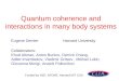 Quantum coherence and interactions in many body systems