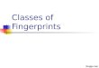 Classes of Fingerprints