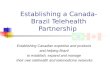 Establishing a Canada-Brazil Telehealth Partnership